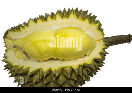 König der Früchte, Durian isoliert auf weißem Hintergrund. Stockfoto