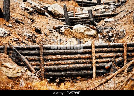 Woody debris Dämme für natürliche zur Reduzierung der Hochwassergefahr. Anzeigen von Burnt Pine Forest im Herbst. Stockfoto