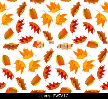 Nahtlose Herbst Hintergrund mit roten und orangenen Blätter auf weißem Hintergrund mit Freistellungspfad isoliert Stockfoto