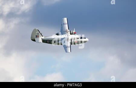 Percival Pembroke C1 Fliegen an das IWM Duxford Airshow 2018 Schlacht von Großbritannien Stockfoto