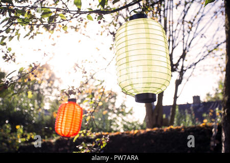 Schöne bunte Laternen hängen an den Bäumen mit Sonnenlicht an einem sonnigen Tag Stockfoto