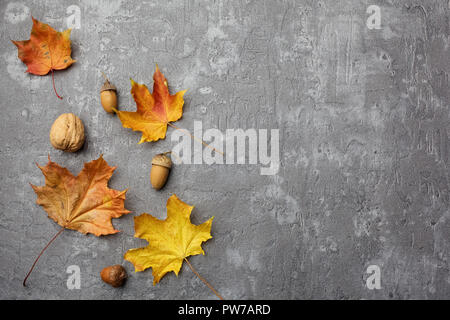 Herbstlaub auf grauem Hintergrund. Trendige stilvolle Konzept. Flach, Ansicht von oben Stockfoto