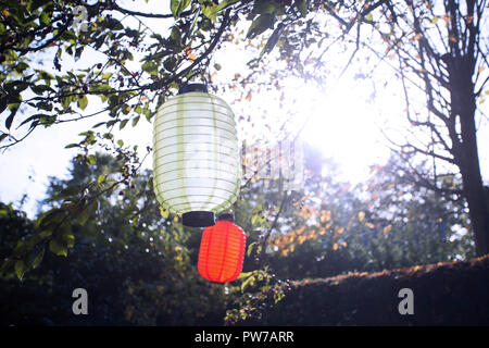 Schöne bunte Laternen hängen an den Bäumen mit Sonnenlicht an einem sonnigen Tag Stockfoto