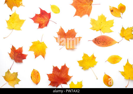 Herbst Komposition. Herbst getrocknete Blätter auf weißem Hintergrund. Flach. Stockfoto