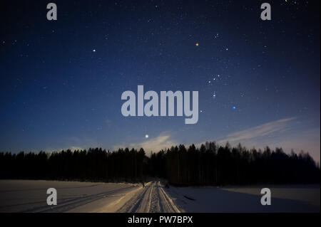 Sternbild Orion und Sirius über Wald im Winter sky Stockfoto