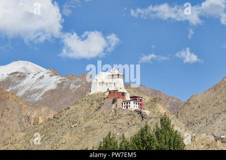 Namgyal Tsemo Kloster in schönes Licht, Leh, Ladakh, Indien Stockfoto