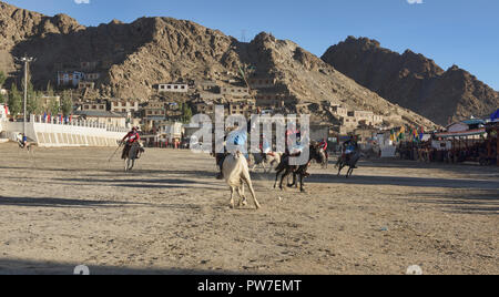 Höhe Pferd polo, Leh, Ladakh, Indien Stockfoto