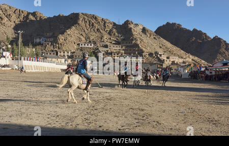 Höhe Pferd polo, Leh, Ladakh, Indien Stockfoto