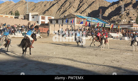 Höhe Pferd polo, Leh, Ladakh, Indien Stockfoto