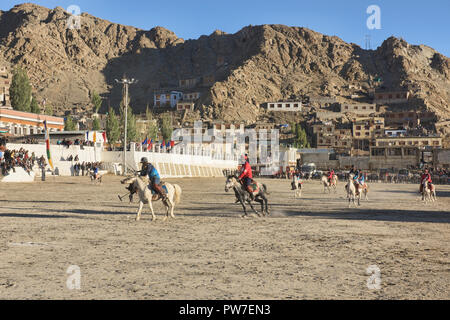 Höhe Pferd polo, Leh, Ladakh, Indien Stockfoto