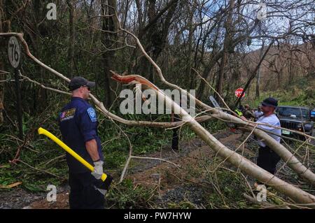 Mitglieder der Fairfax County Urban Suche und Rettung Task Force, Federal Emergency Management Agency aus Virginia, Israel Lopez-Velez und Ben Roadruck klar Route 76 im Westen von St. Croix, Sept. 22. Stockfoto