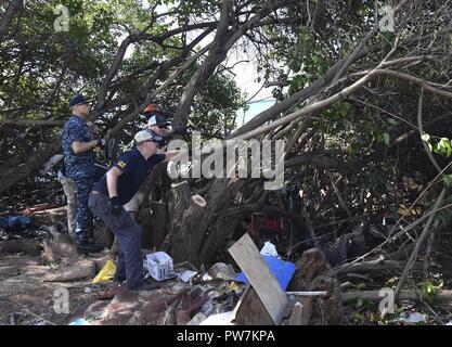 AIEA, Hawaii (Sep. 22, 2017) freiwillige Helfer aus dem Chaos der Joint Base Pearl Harbor-Hickam (JBPHH) Chief, der JBPHH First Class Petty Officer Association und Marine Bau Bataillon Mobile Einheit 303 Loslösung Pearl Harbor, klare invasive Mangrovenbäume aus der Pearl Harbor Radweg entlang der historischen Waterfront von Pearl Harbor in Radevormwald, für die Phase zwei der Restaurierung der Radweg, September 22. JBPHH und die Stadt und die Grafschaft von Honolulu haben zusammengearbeitet, um für 12 Jahre bis der Radweg und Host freiwilligen Bemühungen mindestens zweimal im Jahr zu reinigen. Stockfoto