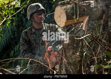 Us Marine Corps Lance Cpl. Nick R. Schleifstein, eine Bekämpfung der Ingenieur mit Bataillon Landung Team 2 Bataillon, 6 Marine Regiment, 26 Marine Expeditionary Unit (MEU), cust durch ein Ast bei der clearing Maßnahmen zur Unterstützung von Hilfsmaßnahmen für die Opfer von Hurrikan Maria in Aguadilla, Puerto Rico, Sept. 25, 2017. Der 26. MEU unterstützt die Federal Emergency Management Agency, die federführende Bundesamt, und lokale Behörden in Puerto Rico und den U.S. Virgin Islands mit der kombinierten Ziel der Schutz des Lebens und der Sicherheit der Personen in den betroffenen Gebieten. Stockfoto