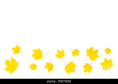 Herbst Zusammensetzung Rahmen aus gelben Herbst Ahorn Blätter auf weißem Hintergrund. Ansicht von oben, flach. Stockfoto