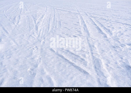 Spuren von Schlitten und Ski auf weißen frisch gefallenen Schnee. Stockfoto