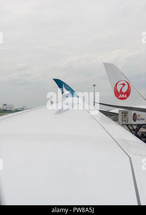 Bangkok, Thailand - 16. August 2018: Cathay Pacific Airbus350-900 Winglet mit JAL Fluggesellschaft auf Hintergrund am Bangkok International Airport Stockfoto