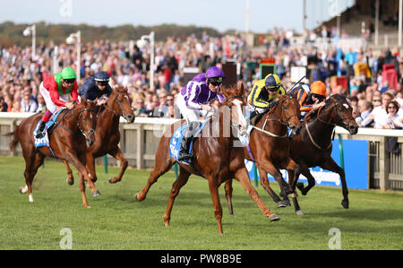 Norwegen geritten von seamie Heffernan gewinnt Die Godolphin fliegenden Start Zetland Einsätze bei Tag zwei der Dubai zukünftigen Meister Festival in Newmarket Racecourse. Stockfoto