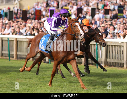 Norwegen geritten von seamie Heffernan gewinnt Die Godolphin fliegenden Start Zetland Einsätze bei Tag zwei der Dubai zukünftigen Meister Festival in Newmarket Racecourse. Stockfoto