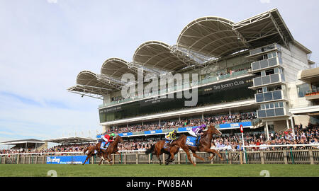 Norwegen geritten von seamie Heffernan gewinnt Die Godolphin fliegenden Start Zetland Einsätze bei Tag zwei der Dubai zukünftigen Meister Festival in Newmarket Racecourse. Stockfoto