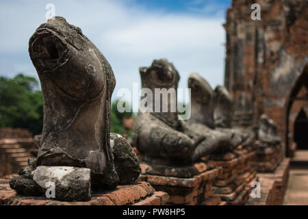 Buddha Bilder im Wat Watthanaram in Ayutthaya, Thailand Stockfoto