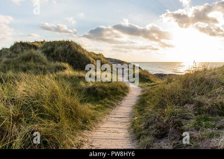 Llandwyn Insel Anglesey, Wales Stockfoto