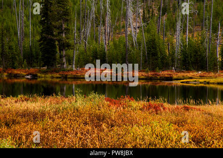 Lewis River im Herbst Farben in Yellowstone National Park, Wyoming Stockfoto