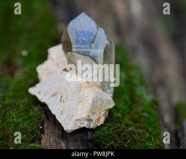 Die Kathedrale von Citrin Quarz Punkt aus Brasilien in Matrix auf Moss, bryophyta und Rinde, Borke im Wald zu bewahren. Stockfoto