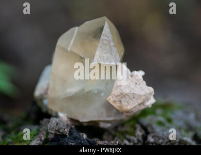 Die Kathedrale von Citrin Quarz Punkt aus Brasilien in Matrix auf Moss, bryophyta und Rinde, Borke im Wald zu bewahren. Stockfoto