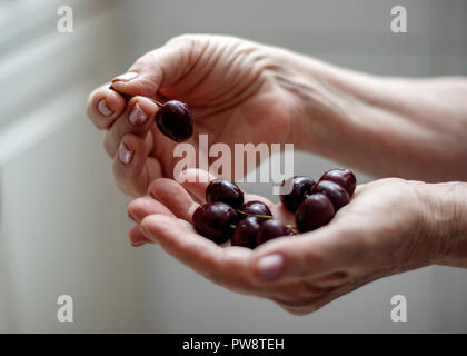 Hände einer alten Frau Beeren Holding Stockfoto