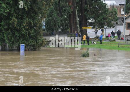 Builth Wells, Wales, Großbritannien, 13. Oktober 2018 Builth Wells Bewohner kamen die Szene nach dem Fluss Wye seine Banken burst nach Sturm Callum in Builth Wells, Powys, Wales. UK Credit: Andrew Compton/Alamy leben Nachrichten Stockfoto