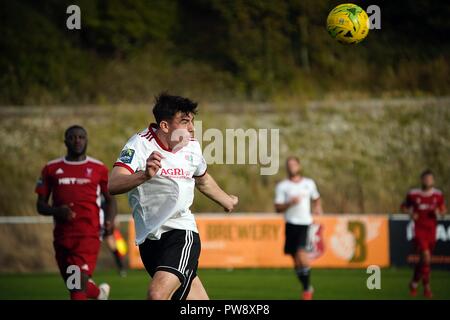 Brighton England UK, 13. Oktober 2018 Isthmian League Premier Division, Whitehawk v Brightlingsea, TerraPura Boden Whitehawk, Endstand 1-1. Caron Watson/Alamy leben Nachrichten Stockfoto