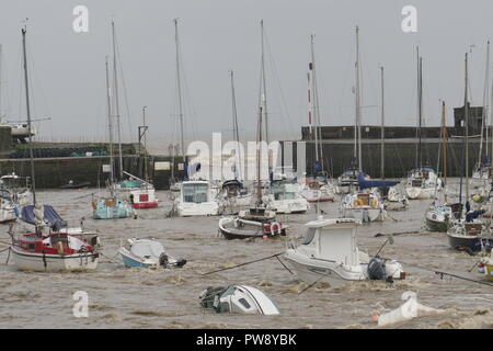 Aberaeron, UK. 13. Oktober 2018. Ein Bild der Verwüstung in Aberaeron Hafen auf der West Wales Küste am Nachmittag als schwerer Regen und starkem Wind vom Sturm Callum weiterhin Chaos zu verursachen. Flut, Wasser aus dem Fluss Aeron mit Bäumen und grossen Niederlassungen Crash in Boote es Schäden an vielen und völlig versinken. Credit: Anthony Pugh/Alamy leben Nachrichten Stockfoto