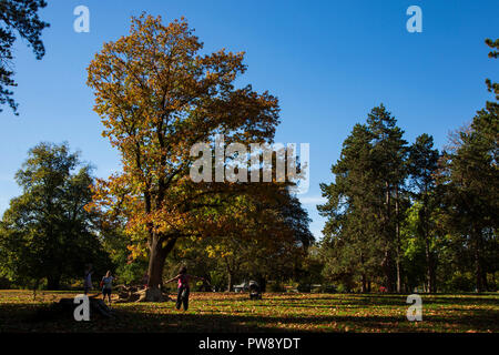 Mülheim an der Ruhr, Deutschland. 13. Oktober 2018. Die Menschen genießen eine herbstliche Hitzewelle im Witthausbusch Park. Die Unseasonal warmen und sonnigen Oktober Wetter wird voraussichtlich noch mehrere Tage dauern. Foto: Nord51/Alamy leben Nachrichten Stockfoto