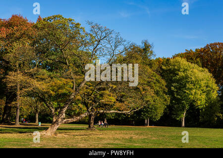 Mülheim an der Ruhr, Deutschland. 13. Oktober 2018. Die Menschen genießen eine herbstliche Hitzewelle im Witthausbusch Park. Die Unseasonal warmen und sonnigen Oktober Wetter wird voraussichtlich noch mehrere Tage dauern. Foto: Nord51/Alamy leben Nachrichten Stockfoto