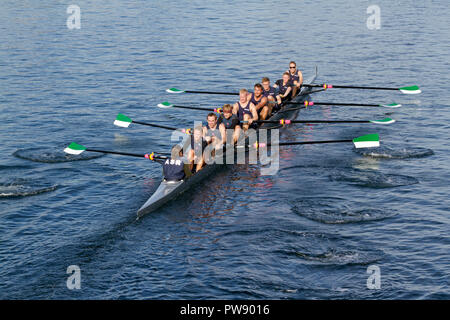 Kopenhagen, Dänemark, 13. Oktober, 2018. Die dänischen Aarhus Studenten in den acht mix Rennen in der 6,5 km internationale Regatta, der Hafen von Kopenhagen Rasse, von langebro im inneren Hafen an das Gatter verriegeln, System im Süden Hafen und zurück. Credit: Niels Quist/Alamy Leben Nachrichten. Stockfoto