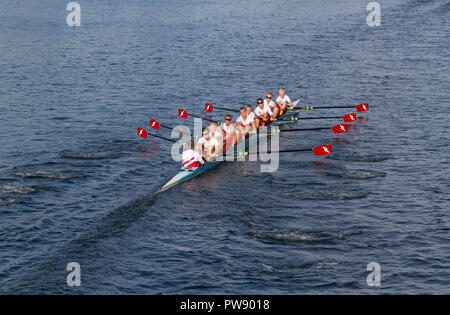 Kopenhagen, Dänemark, 13. Oktober, 2018. Eines kombinierten schwedischen Junior Team in den acht Rennen in der 6,5 km internationale Regatta, der Hafen von Kopenhagen Rasse, von langebro im inneren Hafen an das Gatter verriegeln, System im Süden Hafen und zurück. Crew und Rudern sind in Kungälv/ruderclub Farben. Credit: Niels Quist/Alamy leben Nachrichten Stockfoto