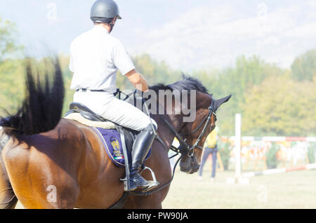 Hippodrom, Skopje, R, Mazedonien. Oktober 13, 2018, 13:00 Uhr MESZ Die Föderation der Pferdesport von Mazedonien organisiert das internationale Turnier kopje 2018'-Memorial Cup 'Dr. Josif Naumovski' im Hippodrome. Sechs Spiele sind vorhergesagt, nach internationalen Standards, in der das Überspringen von Hindernissen in einer Höhe von 1 bis 1,3 Meter. Credit: Dragan Ristovski/Alamy leben Nachrichten Stockfoto