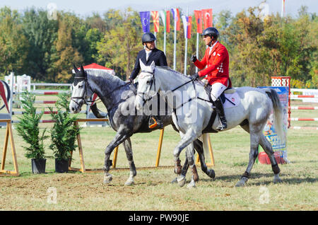 Hippodrom, Skopje, R, Mazedonien. Oktober 13, 2018, 13:00 Uhr MESZ Die Föderation der Pferdesport von Mazedonien organisiert das internationale Turnier kopje 2018'-Memorial Cup 'Dr. Josif Naumovski' im Hippodrome. Sechs Spiele sind vorhergesagt, nach internationalen Standards, in der das Überspringen von Hindernissen in einer Höhe von 1 bis 1,3 Meter. Credit: Dragan Ristovski/Alamy leben Nachrichten Stockfoto