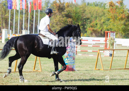 Hippodrom, Skopje, R, Mazedonien. Oktober 13, 2018, 13:00 Uhr MESZ Die Föderation der Pferdesport von Mazedonien organisiert das internationale Turnier kopje 2018'-Memorial Cup 'Dr. Josif Naumovski' im Hippodrome. Sechs Spiele sind vorhergesagt, nach internationalen Standards, in der das Überspringen von Hindernissen in einer Höhe von 1 bis 1,3 Meter. Credit: Dragan Ristovski/Alamy leben Nachrichten Stockfoto