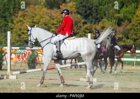 Hippodrom, Skopje, R, Mazedonien. Oktober 13, 2018, 13:00 Uhr MESZ Die Föderation der Pferdesport von Mazedonien organisiert das internationale Turnier kopje 2018'-Memorial Cup 'Dr. Josif Naumovski' im Hippodrome. Sechs Spiele sind vorhergesagt, nach internationalen Standards, in der das Überspringen von Hindernissen in einer Höhe von 1 bis 1,3 Meter. Credit: Dragan Ristovski/Alamy leben Nachrichten Stockfoto