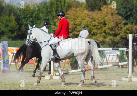 Hippodrom, Skopje, R, Mazedonien. Oktober 13, 2018, 13:00 Uhr MESZ Die Föderation der Pferdesport von Mazedonien organisiert das internationale Turnier kopje 2018'-Memorial Cup 'Dr. Josif Naumovski' im Hippodrome. Sechs Spiele sind vorhergesagt, nach internationalen Standards, in der das Überspringen von Hindernissen in einer Höhe von 1 bis 1,3 Meter. Credit: Dragan Ristovski/Alamy leben Nachrichten Stockfoto