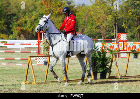 Hippodrom, Skopje, R, Mazedonien. Oktober 13, 2018, 13:00 Uhr MESZ Die Föderation der Pferdesport von Mazedonien organisiert das internationale Turnier kopje 2018'-Memorial Cup 'Dr. Josif Naumovski' im Hippodrome. Sechs Spiele sind vorhergesagt, nach internationalen Standards, in der das Überspringen von Hindernissen in einer Höhe von 1 bis 1,3 Meter. Credit: Dragan Ristovski/Alamy leben Nachrichten Stockfoto