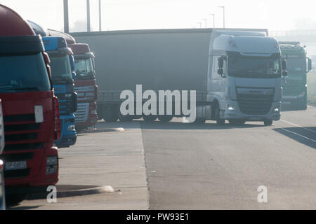 10 Oktober 2018, Sachsen-Anhalt, Magdeburg: 10. Oktober 2018, Deutschland, Magdeburg: Lkw stehen Seite an Seite an einer Raststätte auf der A2 Autobahn. Foto: Klaus-Dietmar Gabbert/dpa-Zentralbild/dpa Stockfoto