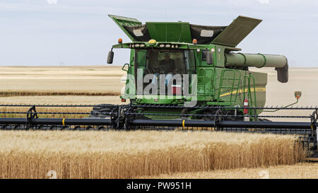 Limerick, Saskatchewan, Kanada. 9 Sep, 2018. Ein Feld von Weizen geerntet durch einen Landwirt mit einem John Deere, Mähdrescher, Limerick, Saskatchewan, Kanada. Credit: bayne Stanley/ZUMA Draht/Alamy leben Nachrichten Stockfoto