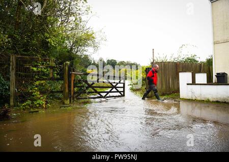 Samstag, 13. Oktober 2018. Tonna, South Wales, UK. Überschwemmung bewirkt die Dörfer von Aberdulais und Tonna in der Neath Valley nach Sturm Callum starker Regen und Wind in den Bereich des Flusses Neath brachte Bersten zu erreichen. Ein Mann geht durch einen überfluteten Fußweg. Robert Melen/Alamy Leben Nachrichten. Stockfoto