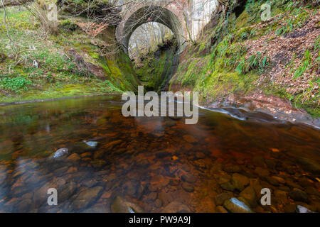 Blood Red River in einem grünen Schlucht. Devil's Kanzel, Finnich Glen, in der Nähe von Killearn, Schottland, Vereinigtes Königreich Stockfoto