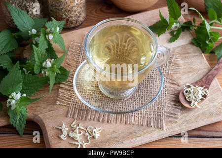 Eine Tasse weiß tot - brennnessel Tee mit ganzen Blüte Lamium Album Pflanzen und getrocknete Blumen Stockfoto