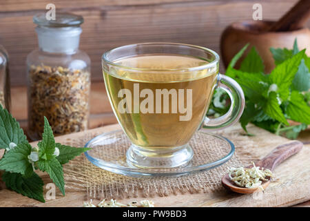 Eine Tasse weiß tot - brennnessel Tee mit ganzen Blüte Lamium Album Pflanzen und getrocknete Blumen Stockfoto