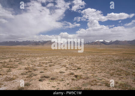 Afghanische große Pamir auf Trek von Keng Shiber Kara Jilga, Pamir, Gorno-Badakhshan, Tadschikistan. Stockfoto