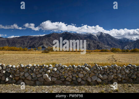 Meerak Dorf und Pangong See im Herbst Farbe, Ladakh, Indien Stockfoto